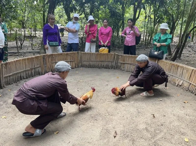 Đá gà cá cược kiểu truyền thống là gì?