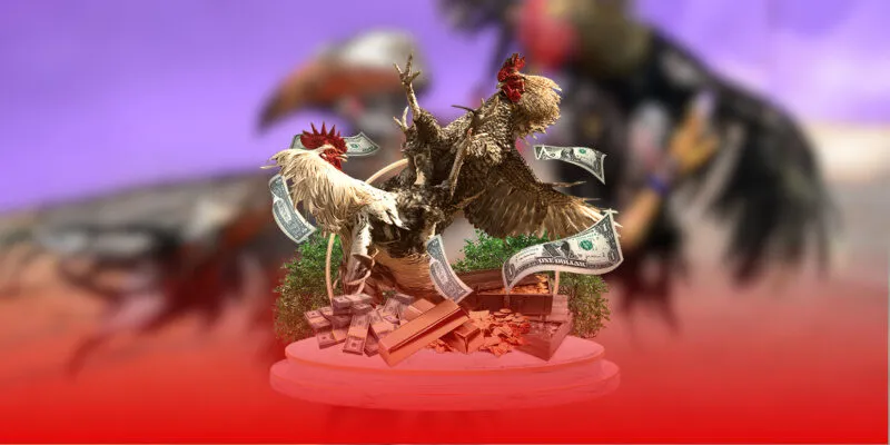 Hầu hết các giải đấu lớn nhỏ đều có mặt tại hệ thống