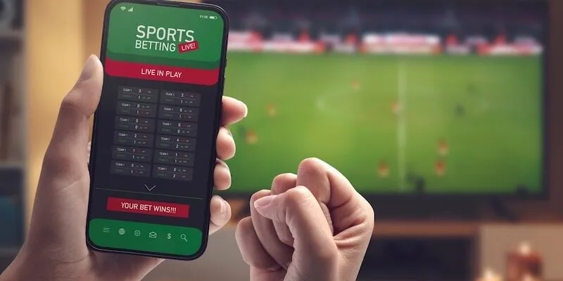 Người chơi mới soi kèo châu Âu sao cho chuẩn?