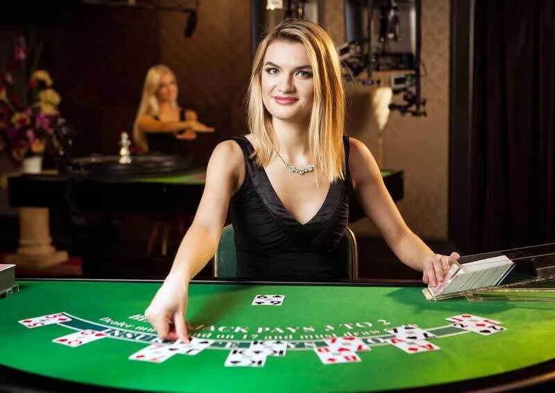 Người chia bài đóng vai trò quan trọng và không thể thiếu ở mỗi bàn chơi casino